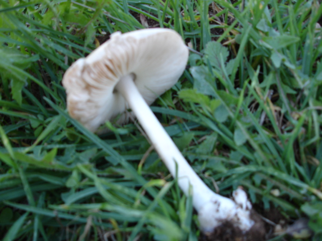 Murgia Novembre 2007-continuazione